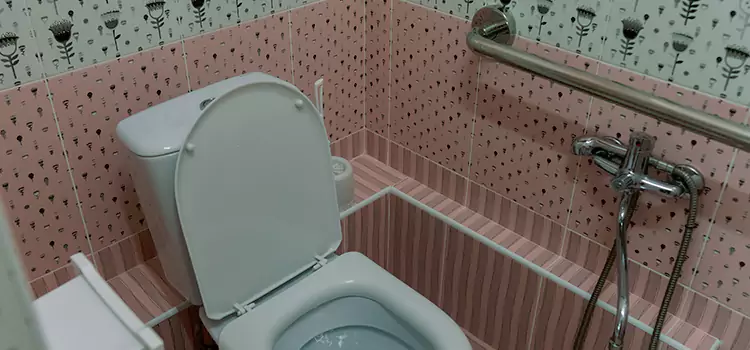Meeting Diverse Needs With Accessible Restroom Solutions in Onalaska, WI